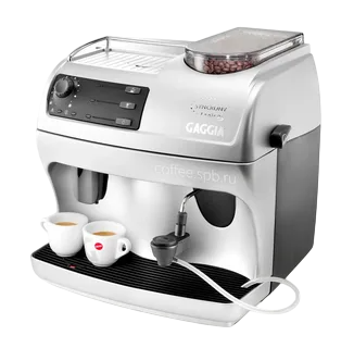 Декальцинация Gaggia Logic Office 900g