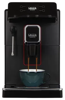 Декальцинация Gaggia Magenta Plus BK 8700